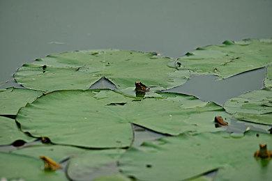 《时间旅者：重生曙光》正式发售！